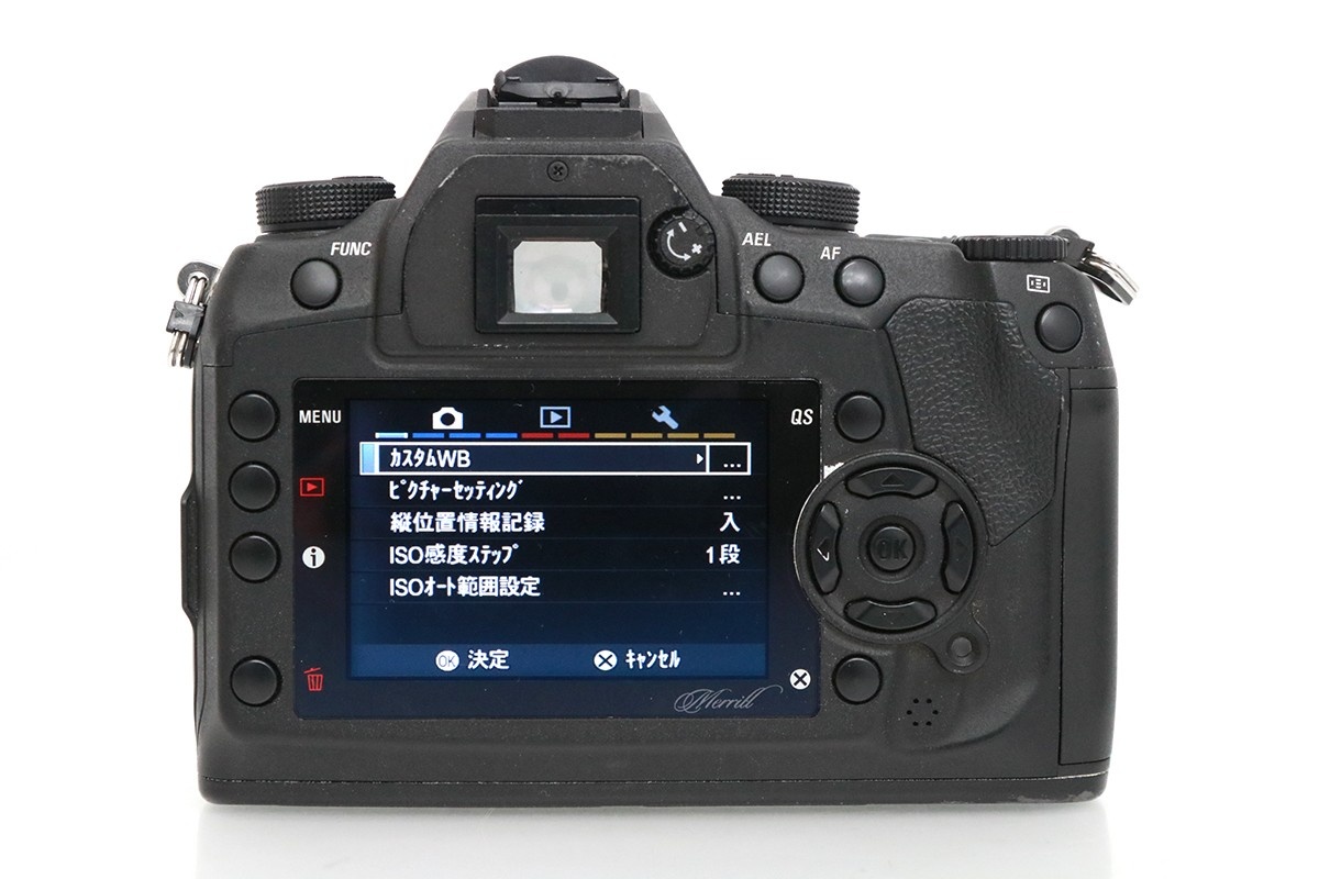 SD1 Merrill ボディ CA01-M4298-3U5A-ψ