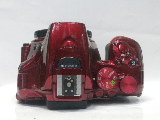 D5500レッド