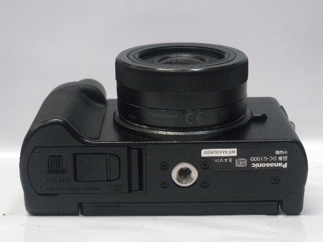 DC-G100DW (G100Wズームキット）