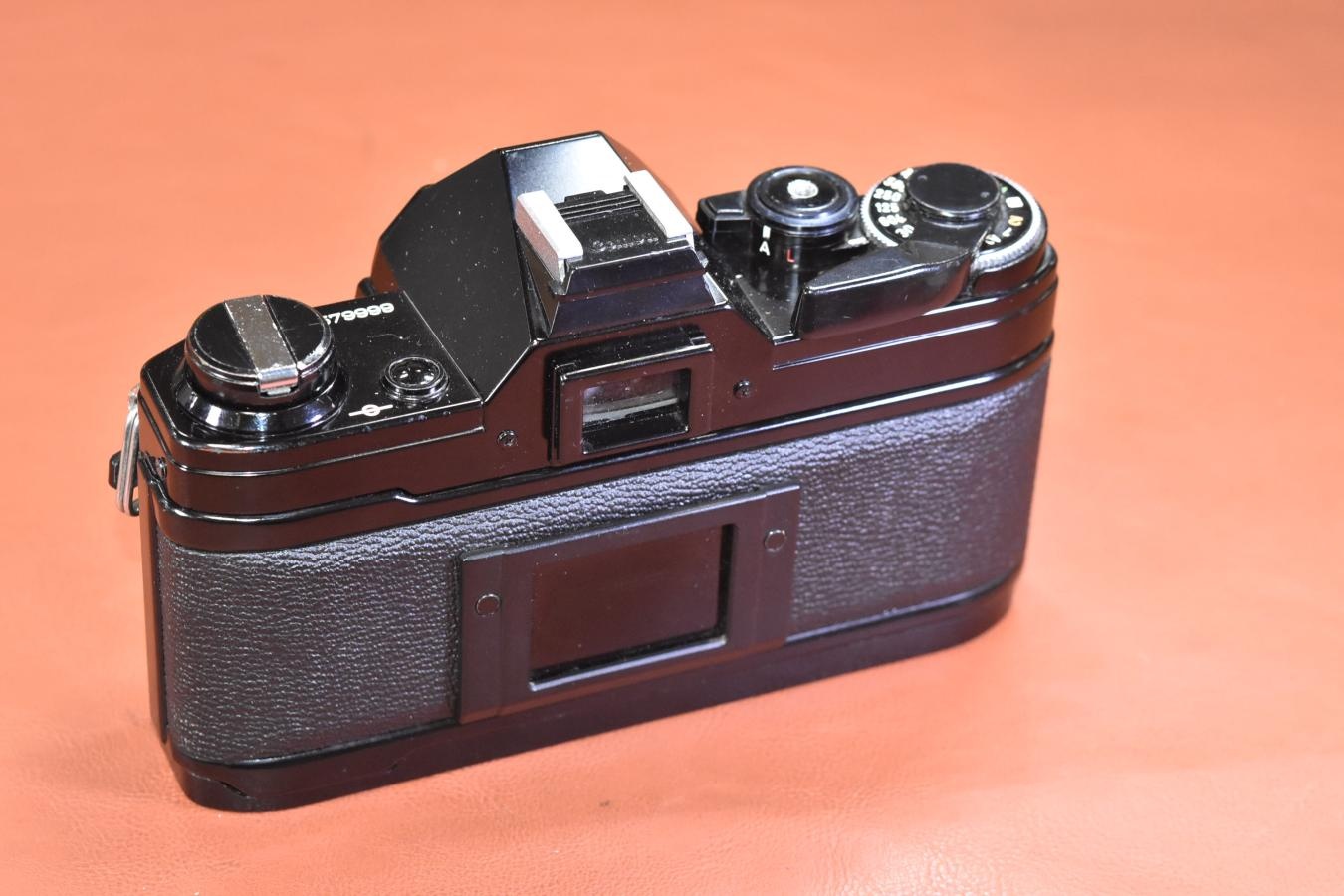 Canon AE-1 Black モルト交換済 【シャッター鳴きなし】