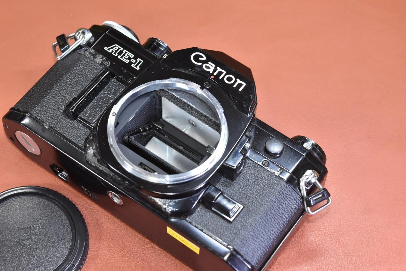 Canon AE-1 Black モルト交換済 【シャッター鳴きなし】