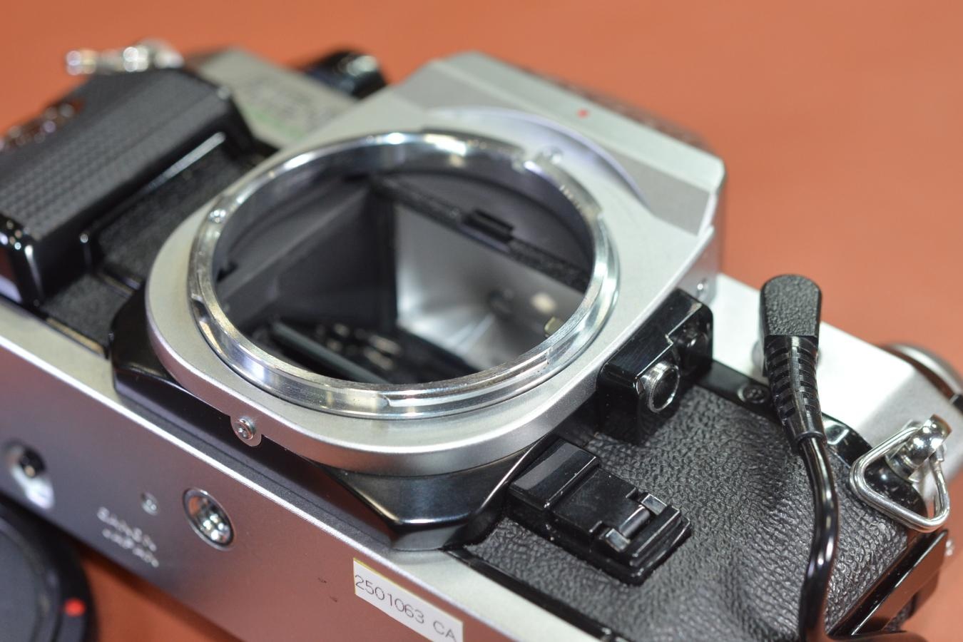 Canon AE-1 PROGRAM Silver  Canon DATA BACK A付【シャッター鳴きなし】