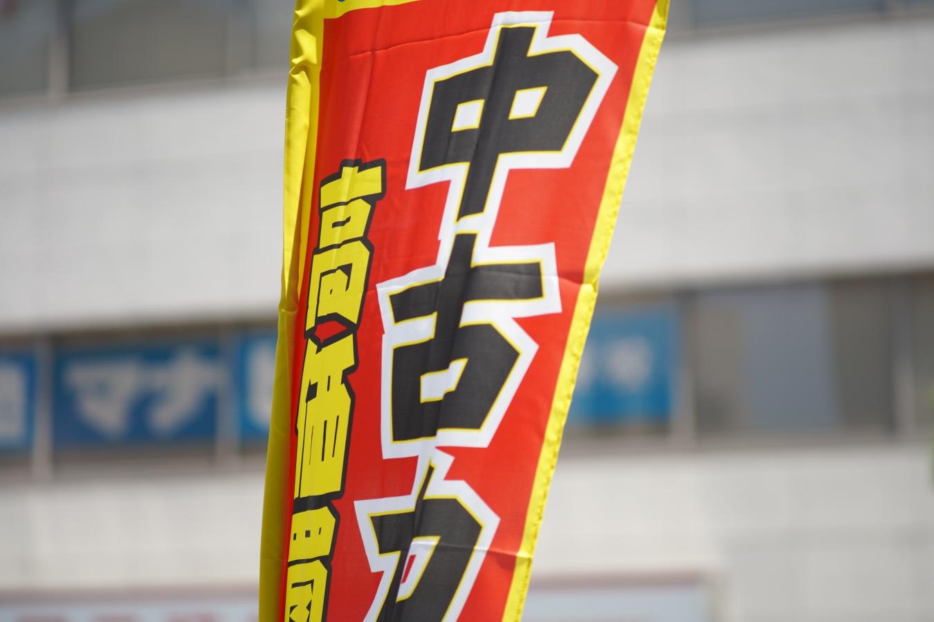 Nikon NIKKOR-P Auto 105mm F2.5 Ai改