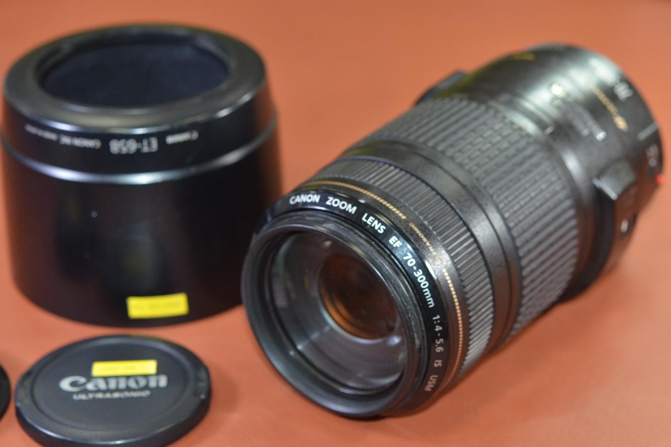 Canon EF 70-300mm F4-5.6 IS USM 【純正フードET-65B付】