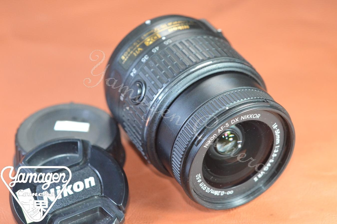 Nikon AF-S DX NIKKOR 18-55mm F3.5-5.6G II VR