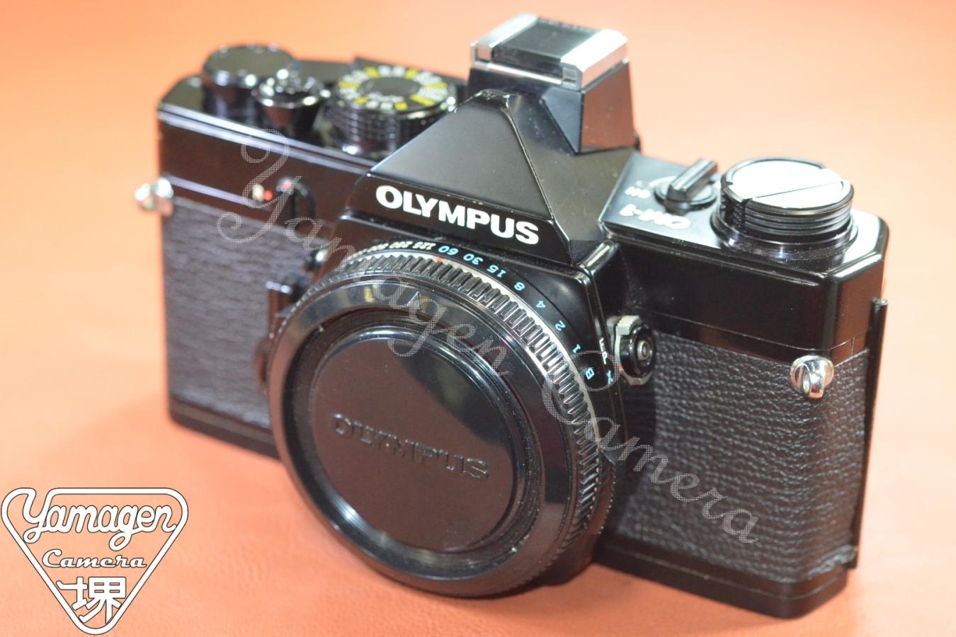 OLYMPUS OM-1 Black モルト交換済 【純正アクセサリーシュー2型付】