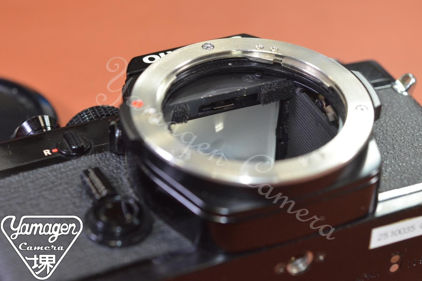 OLYMPUS OM-1 Black モルト交換済 【純正アクセサリーシュー2型付】