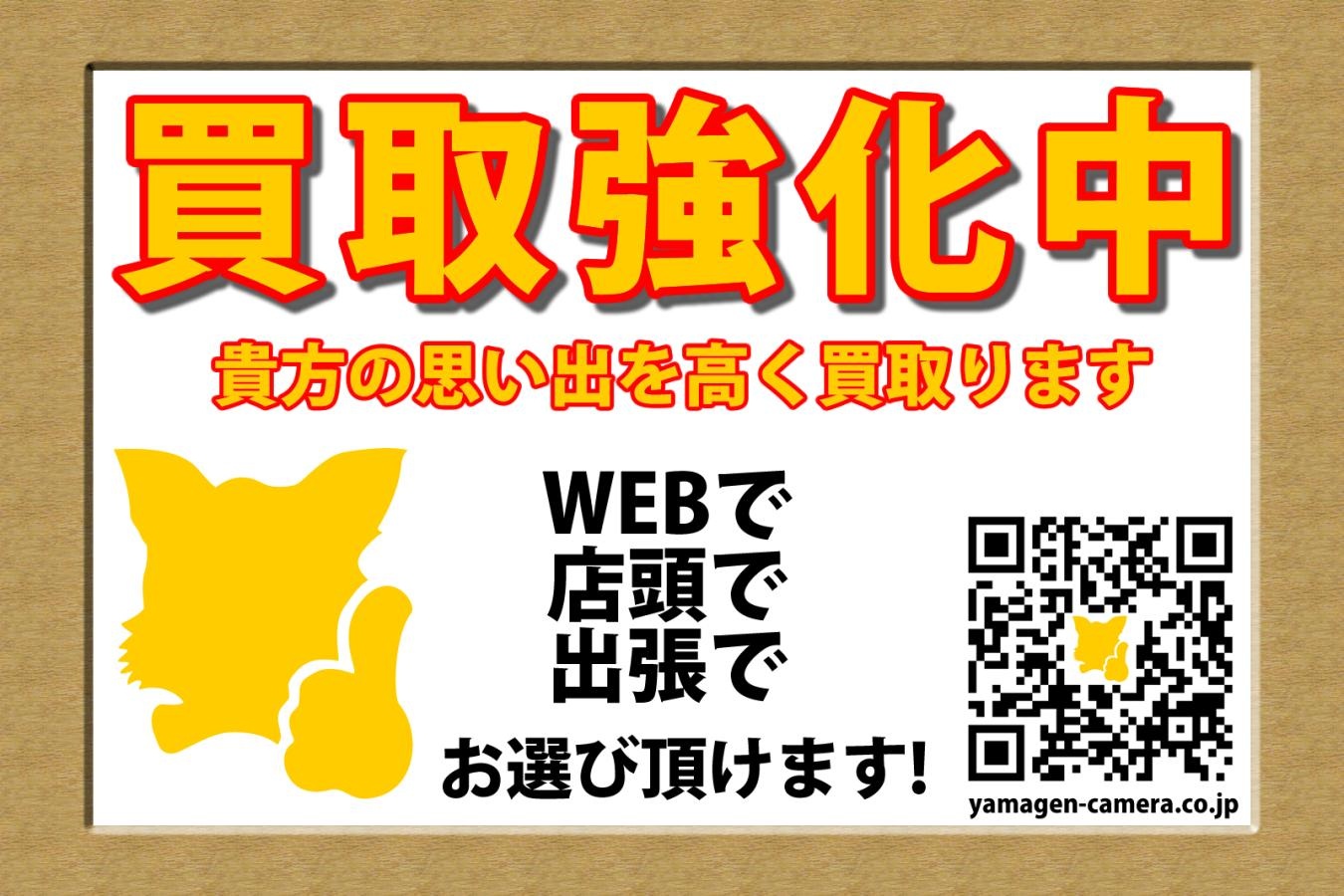 【希 少】DORYU 2-16 薬莢3発、純正ケース付 