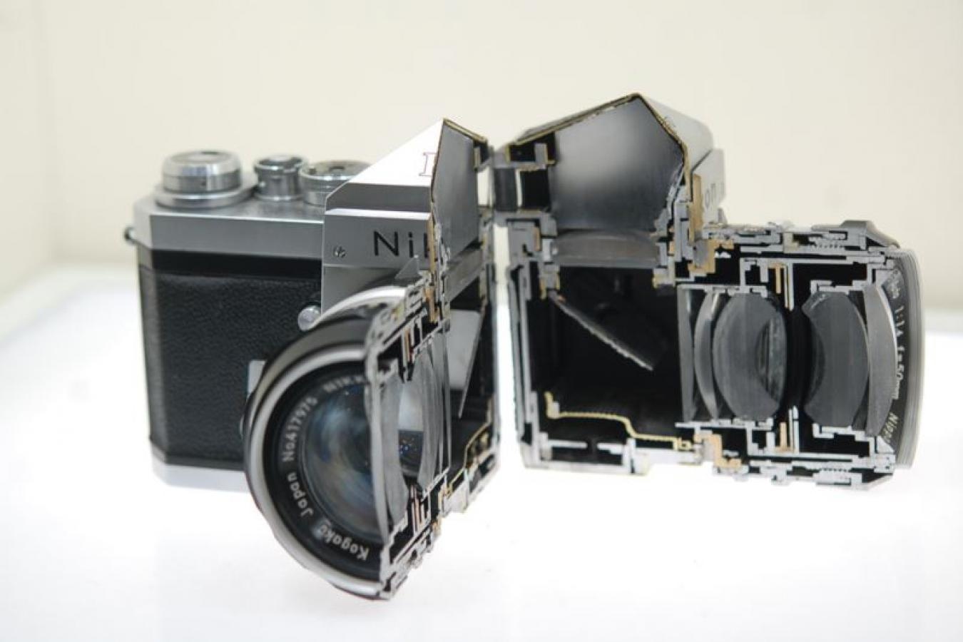 【コレクション向け 希 少】 ニコン Fアイレベルシルバー 644万台 日本光学 NIKKOR-S Auto 50/1.4付 【カットモデル】  