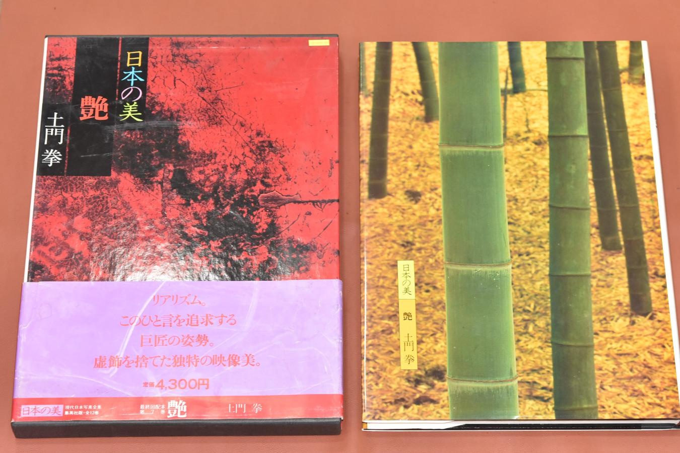 【絶 版 写 真 集】 日本の美 艶 【現代日本写真全集 土門拳】