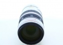 キヤノン EF100-400/4.5-5.6L IS USM