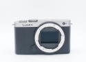 パナソニック LUMIX DC-S9-S ダークシルバー