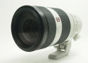 ソニー FE100-400/4.5-5.6 GM OSS