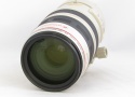 キヤノン EF100-400/4.5-5.6L IS USM