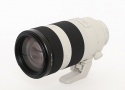 ソニー FE100-400/4.5-5.6 GM OSS