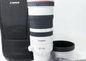 RF100-300mm F2.8 L IS USM