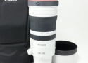 RF100-300mm F2.8 L IS USM