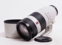FE 100-400mm F4.5-5.6 GM OSS 【中古】(L:506)