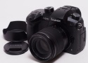 DC-GH5M 標準ズームレンズキット 【展示品処分】