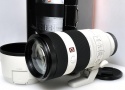 FE 100-400mm F4.5-5.6 GM OSS SEL100400GM