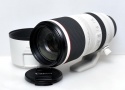 RFレンズ RF100-500mm F4.5-7.1 L IS USM