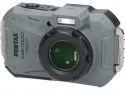 WG-1000