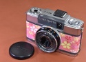 【リメイクカメラ】OLYMPUS PEN EES-2 モルト交換済 【Olympus D.Zuiko 30/2.8 レンズ搭載】