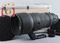 【中古】Nikon ニコン AF-I NIKKOR 400mm f/2.8 D ED ケース付き