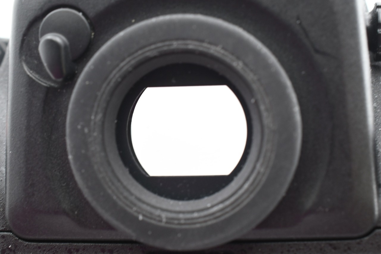 D810A ブラックボディ