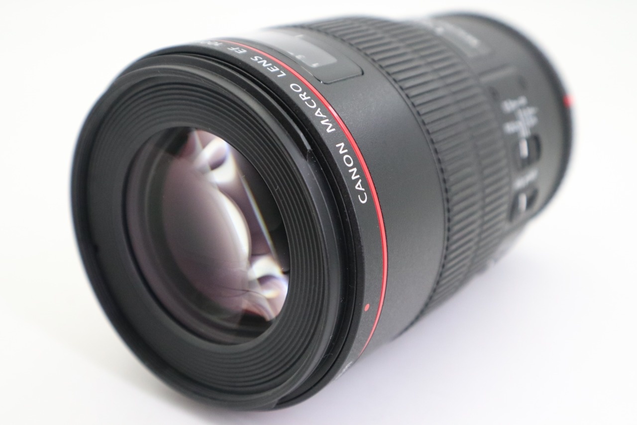 EF 100mm F/2.8 L Macro IS USM AF