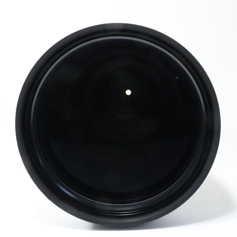 Sigma 300-600mm F4 DG OS | Sports ソニーEマウント