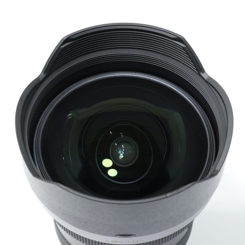 FE 12-24mm F2.8 GM SEL1224GM