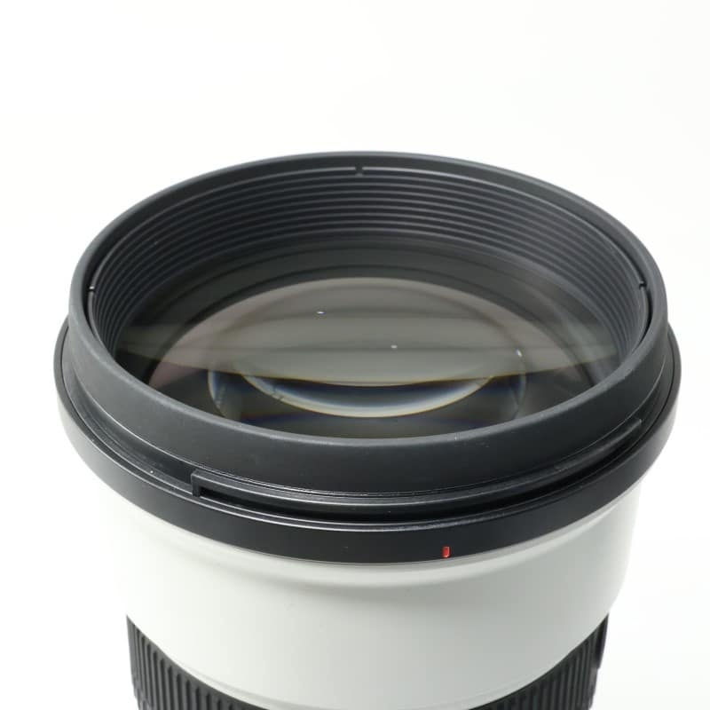 FE 300mm F2.8 GM OSS SEL300F28GM