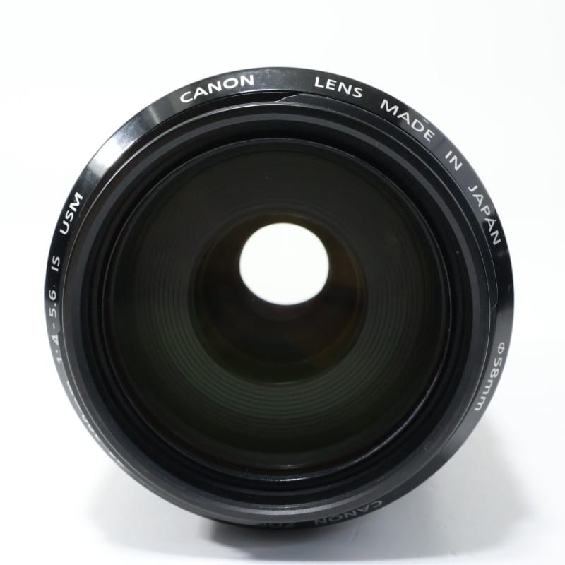 EF 70-300mm F4-5.6 IS USM