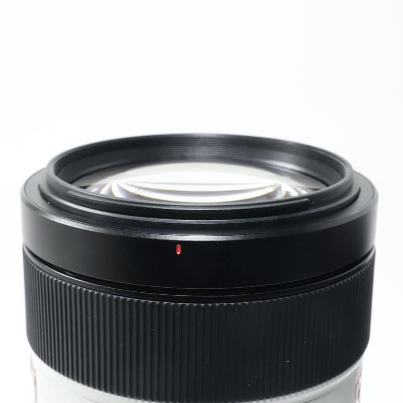 FE 100-400mm F4.5-5.6 GM OSS SEL100400GM