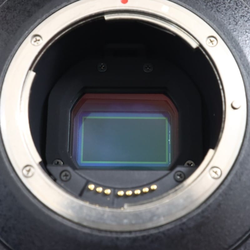 EOS C200 ボディー(EFマウント)