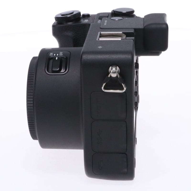 sd Quattro ボディ