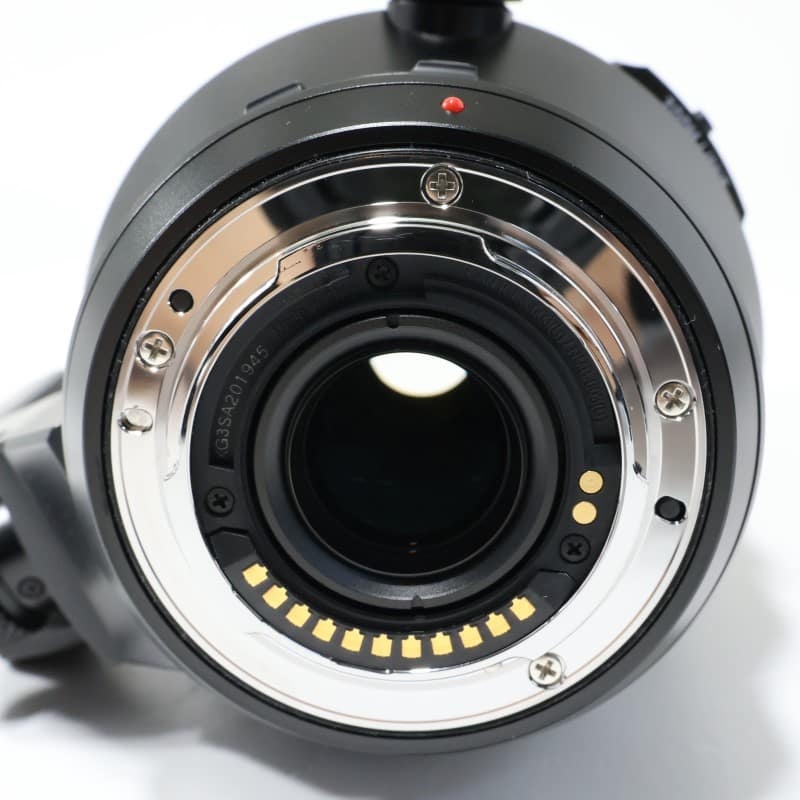 LEICA DG VARIO-ELMAR 100-400mm / F4.0-6.3 II ASPH. / POWER O.I.S. H-RSA100400