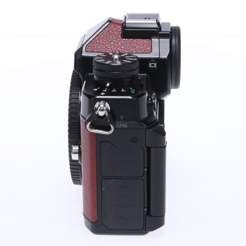 Zf ボディ ブラック