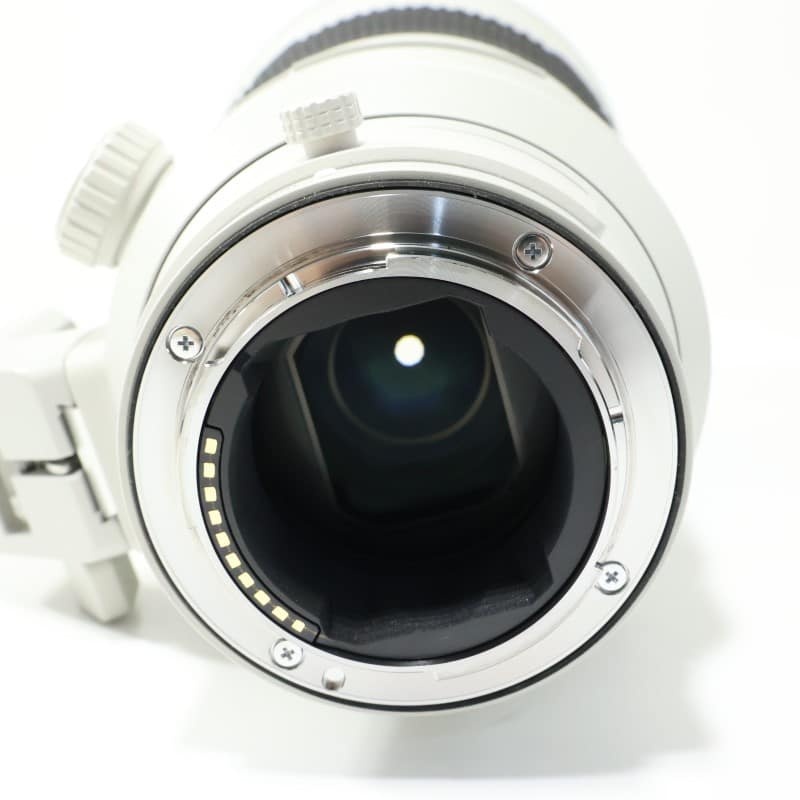 FE 300mm F2.8 GM OSS SEL300F28GM