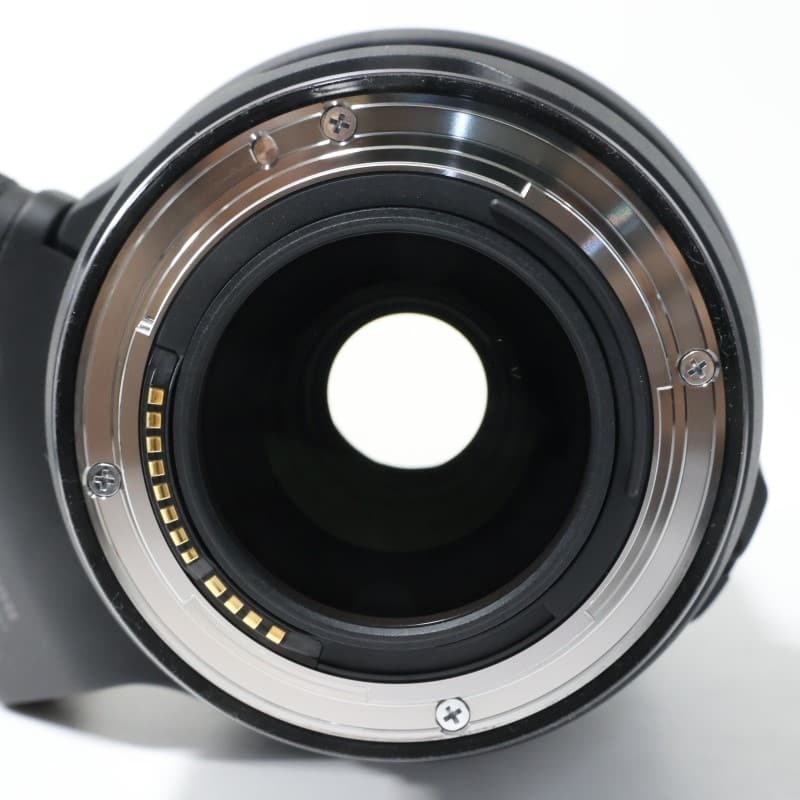 RF100mm F2.8 L MACRO IS USM + リング三脚座E(B)付