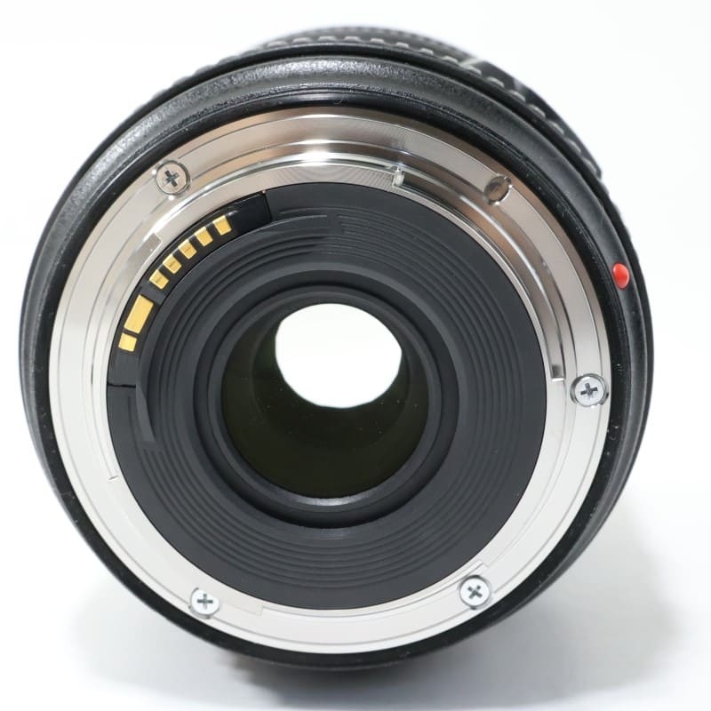 EF24-70mm F4L IS USM