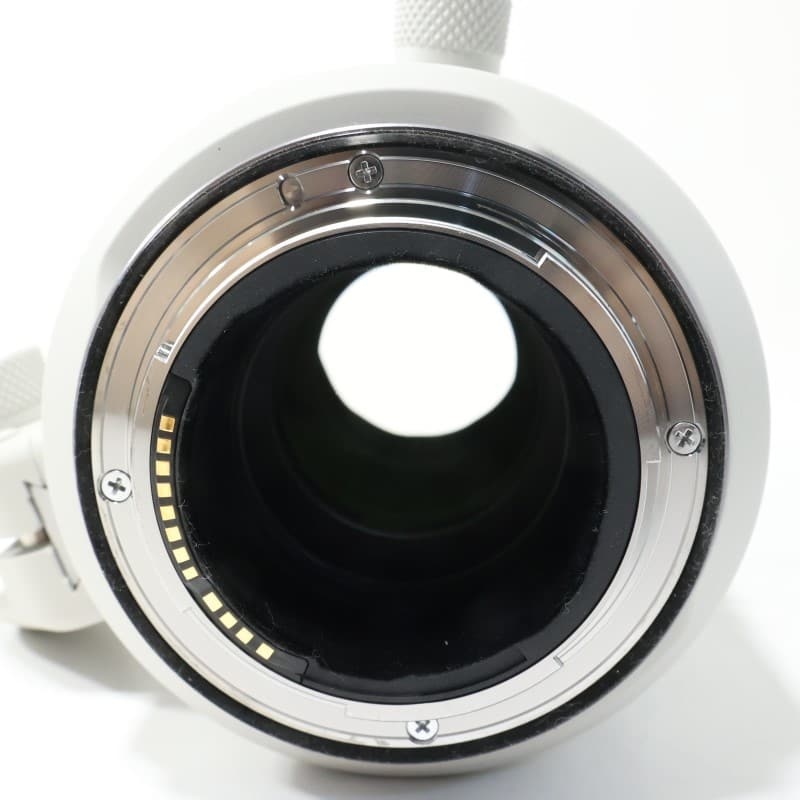 RF70-200mm F2.8 L IS USM Z ホワイト