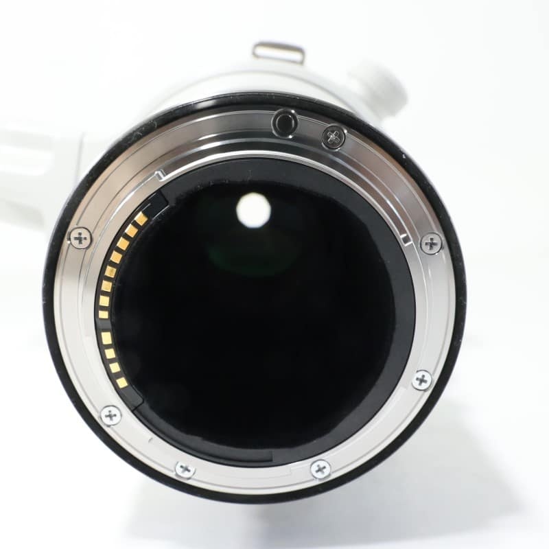 RF600mm F4 L IS USM