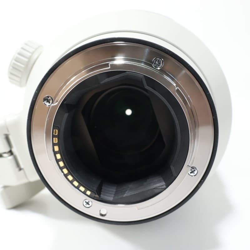 FE 100-400mm F4.5-5.6 GM OSS SEL100400GM