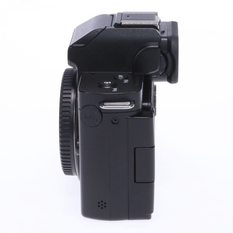 LUMIX G100 ボディ DC-G100