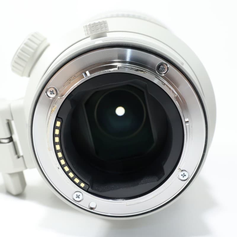 FE 300mm F2.8 GM OSS SEL300F28GM