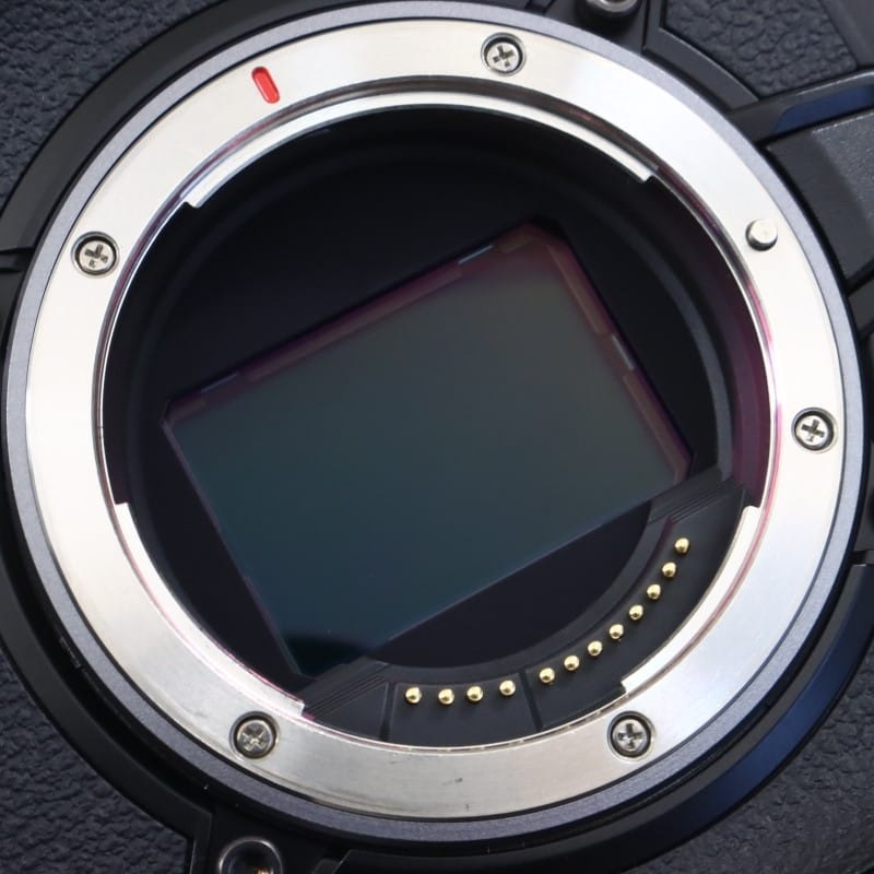 EOS C80 ボディー