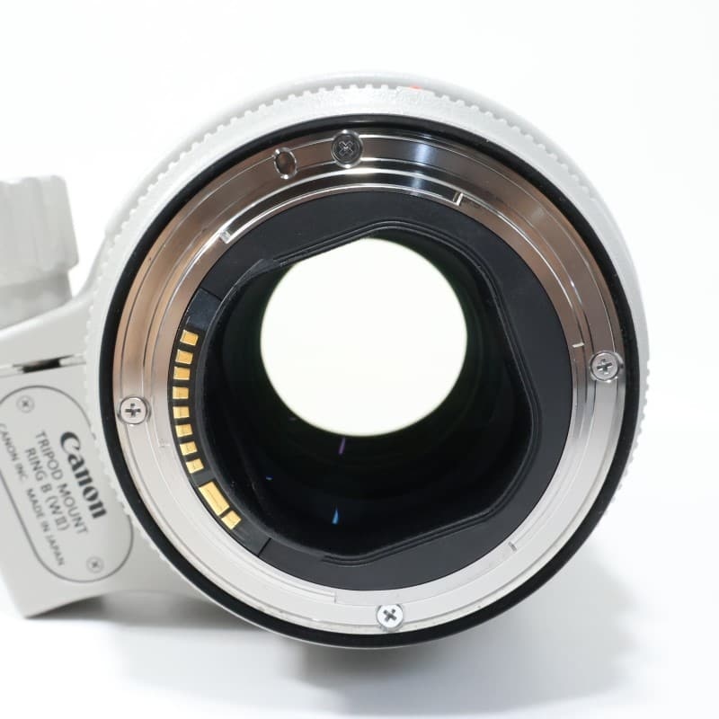 EF70-200mm F2.8L IS III USM