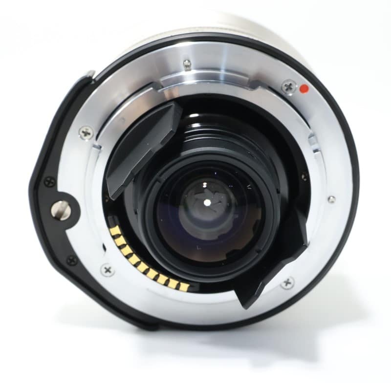 Biogon T* 21mm F2.8 + ファインダー G Mount